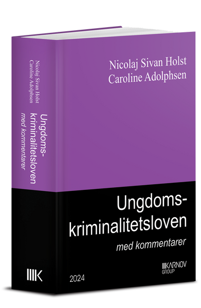 Ungdomskriminalitetsloven med kommentarer