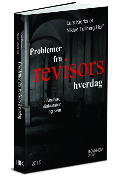 Bog: Problemer fra revisors hverdag