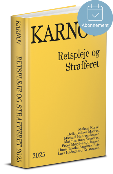 Retspleje og Strafferet 2025 - Abonnement