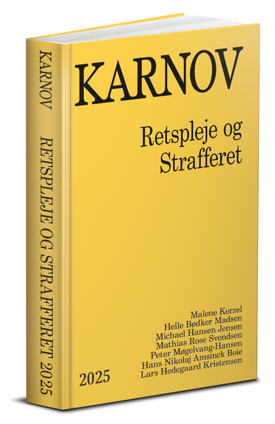 Retspleje og Strafferet 2025