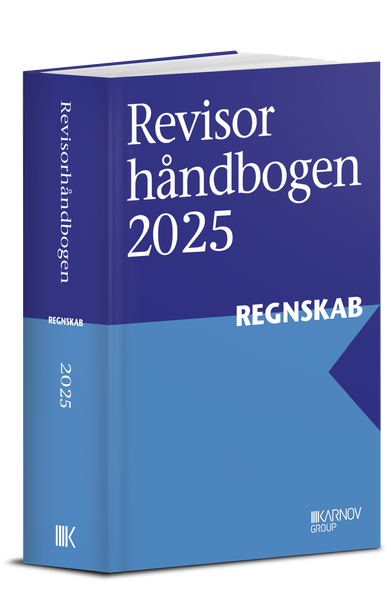 Revisorhåndbogen 2025 - Regnskab