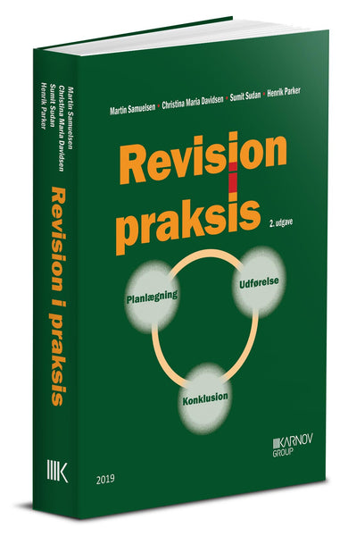 Bog: Revision i praksis: Planlægning, Udførelse, Konklusion